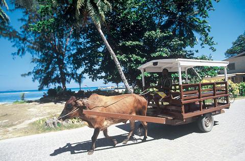 Journée tour de Praslin et La Digue déjeuner compris (en groupe)